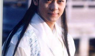 天龙八部林志颖 天龙八部林志颖